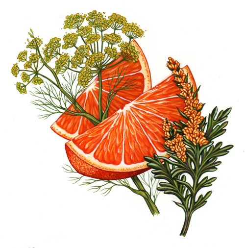 orange slices-herbs2195.jpg