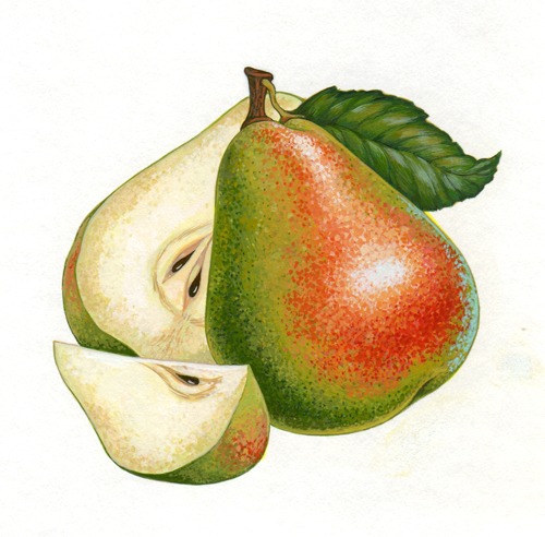 pears187b.jpg